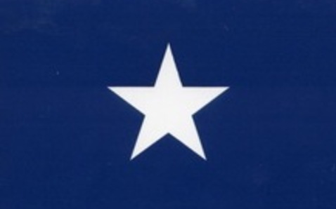 bonnie blue flag